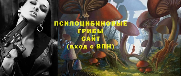 ПСИЛОЦИБИНОВЫЕ ГРИБЫ Армянск